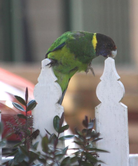 Riverview Tourist Park - eAccommodation 35