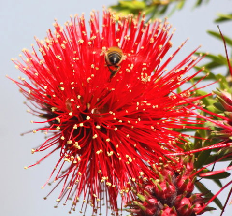 Riverview Tourist Park - eAccommodation 36