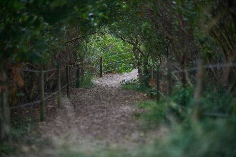 Ingenia Holidays Byron Bay - eAccommodation 15