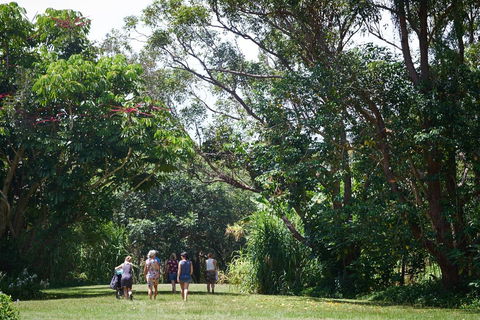 Ingenia Holidays Byron Bay - eAccommodation 11