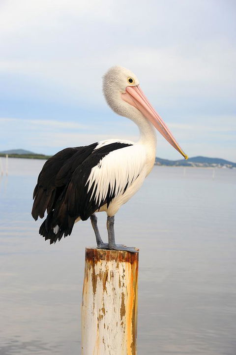 Hotel Nelson - eAccommodation 29