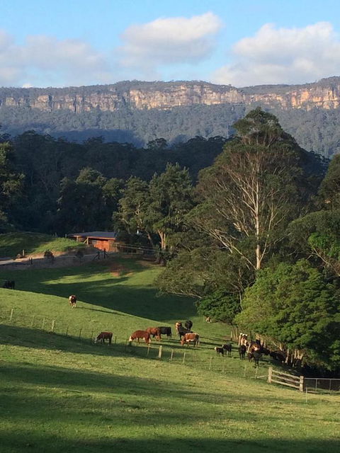 Amaroo Valley Springs - eAccommodation 0