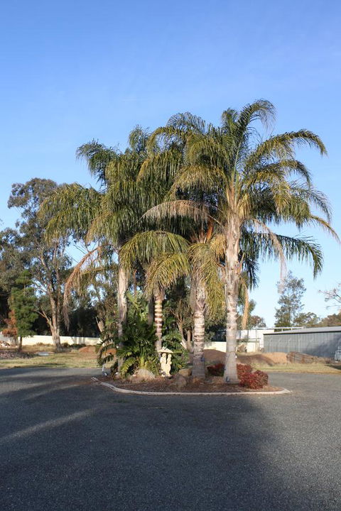 Temora Motel - eAccommodation 6