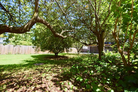 Wildlife Lodge Katoomba - eAccommodation 26