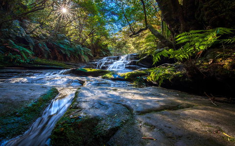 Sky Rider Motor Inn - eAccommodation 6