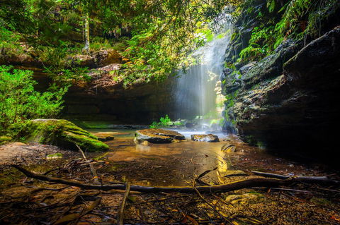 Sky Rider Motor Inn - eAccommodation 23