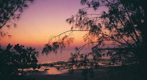 Darwin Beach Escape Holiday Home - eAccommodation 25