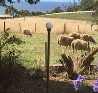 Cape View B and B - eAccommodation