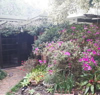 Charming country house close to Grafton - eAccommodation