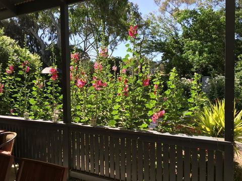 Clarevale Cottage B&B - eAccommodation 1