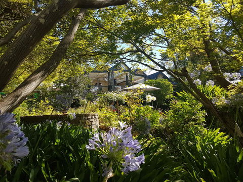 Cobb's Hill Homestead - eAccommodation 1