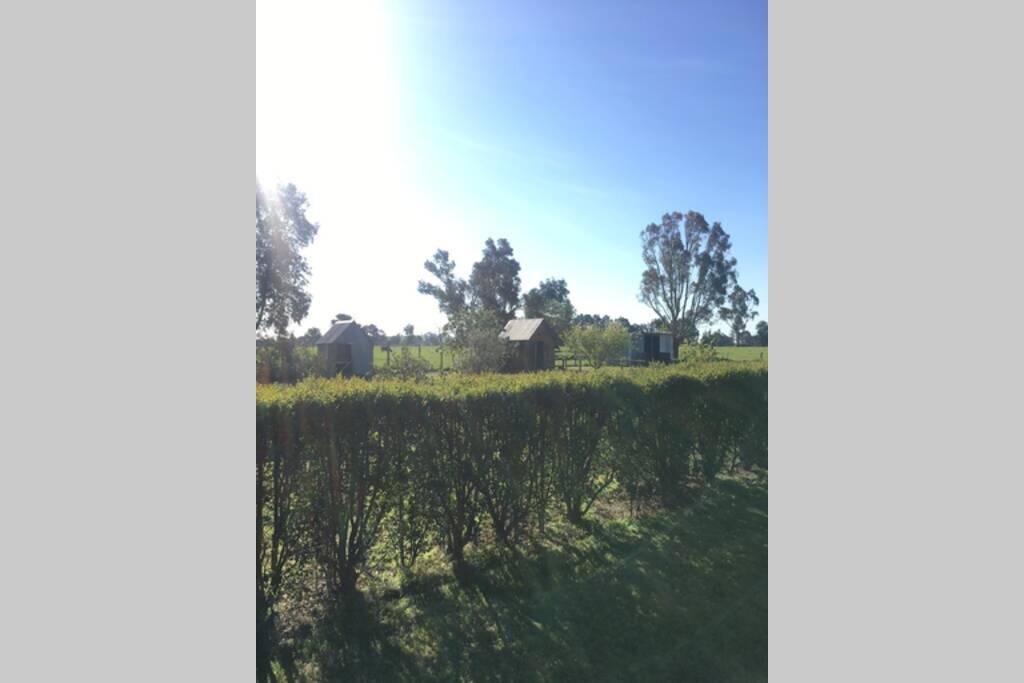 Moyhu ACT eAccommodation