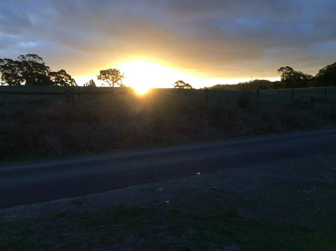 Forrest Willy Wagtail Studio - eAccommodation 1