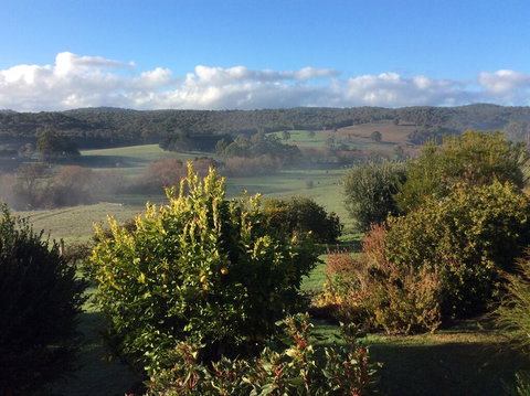 Forrest Willy Wagtail Studio - eAccommodation 3