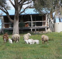 Gaddleen Grove Cottages - eAccommodation