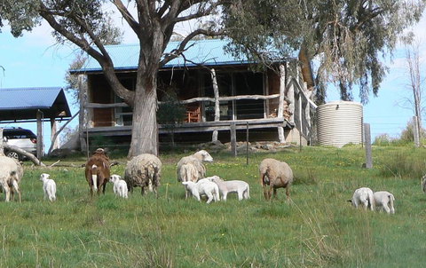 Gaddleen Grove Cottages - eAccommodation 0