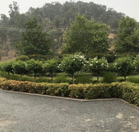 Guinevere - eAccommodation