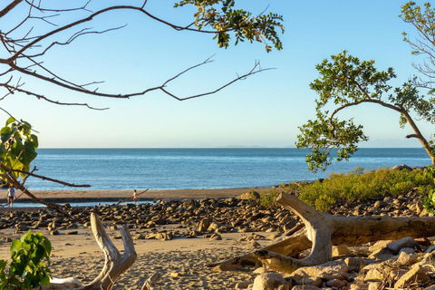 Halliday Bay Resort - eAccommodation 1