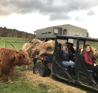 Highland Getaway - eAccommodation