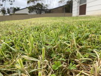 Book Karoonda Accommodation Vacations eAccommodation eAccommodation