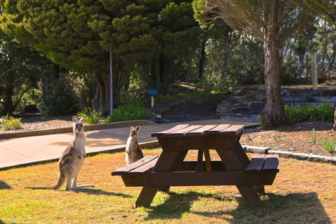 Leura Lodge At Mt Victoria - eAccommodation 2