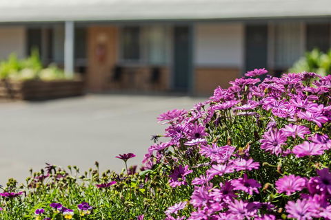 Maffra Motor Inn - eAccommodation 2