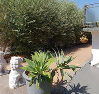 Mt.Lawley superb 2 BR Apartment Ideally located 5 - eAccommodation