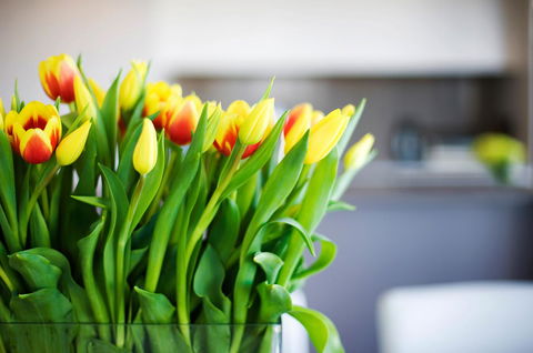 Claremont Quarter Luxury Apartment - eAccommodation 11