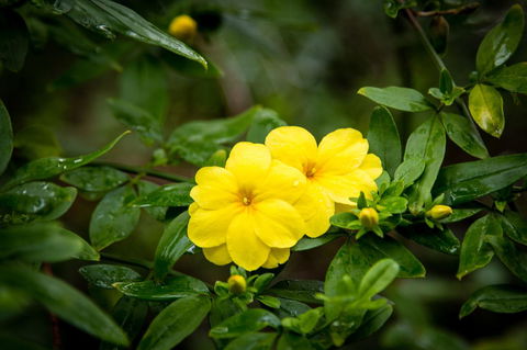 Riverglen Chalets - eAccommodation 44