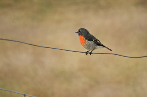 Riverglen Chalets - eAccommodation 43