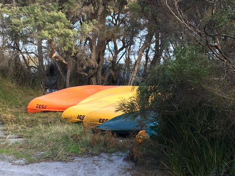 Riverside Retreat Chalets, Walpole - eAccommodation 20