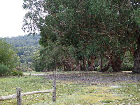 Riverside Retreat Chalets, Walpole - eAccommodation 17