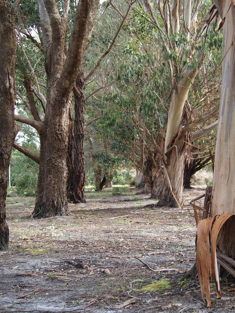 Riverside Retreat Chalets, Walpole - eAccommodation 16