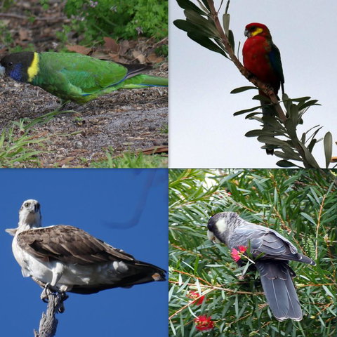 Riverside Retreat Chalets, Walpole - eAccommodation 24