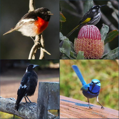 Riverside Retreat Chalets, Walpole - eAccommodation 23