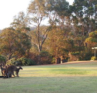 Riverside Retreat Chalets Walpole - eAccommodation