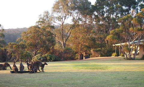 Riverside Retreat Chalets, Walpole - eAccommodation 0