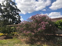 Book Cockburn Central Accommodation Vacations eAccommodation eAccommodation