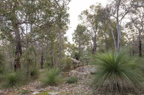 A Hidden Bush Delight - eAccommodation 23