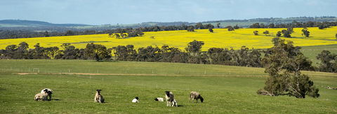 Kendenup Cottages And Lodge - eAccommodation 44