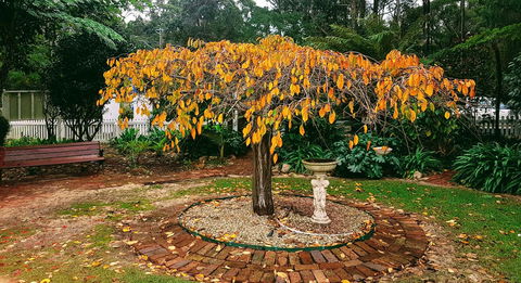 Adamsons Riverside Accommodation - eAccommodation 22