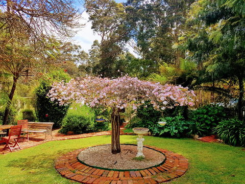 Adamsons Riverside Accommodation - eAccommodation 25