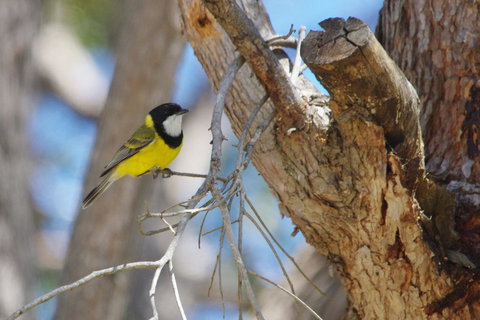 Yelverton Brook Conservation Sanctuary - eAccommodation 35