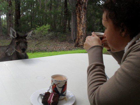 Yelverton Brook Conservation Sanctuary - eAccommodation 44