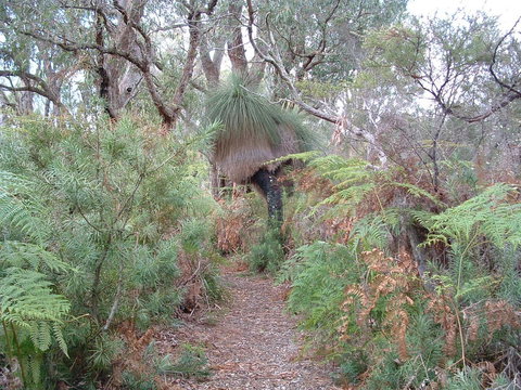 Yelverton Brook Conservation Sanctuary - eAccommodation 41