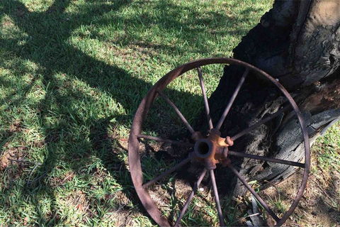 Ocean View Homestead - eAccommodation 29