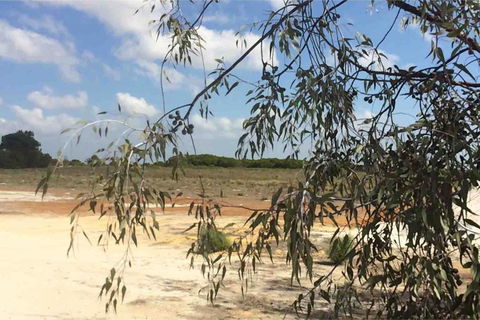 Ocean View Homestead - eAccommodation 16