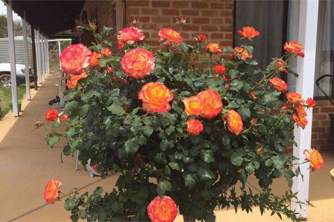 Ocean View Homestead - eAccommodation 22