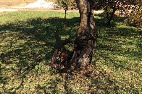 Ocean View Homestead - eAccommodation 18