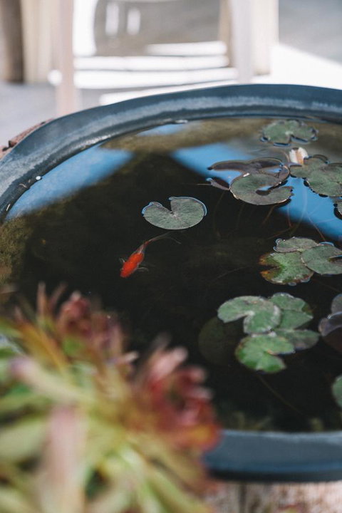 Sun Studio - eAccommodation 22